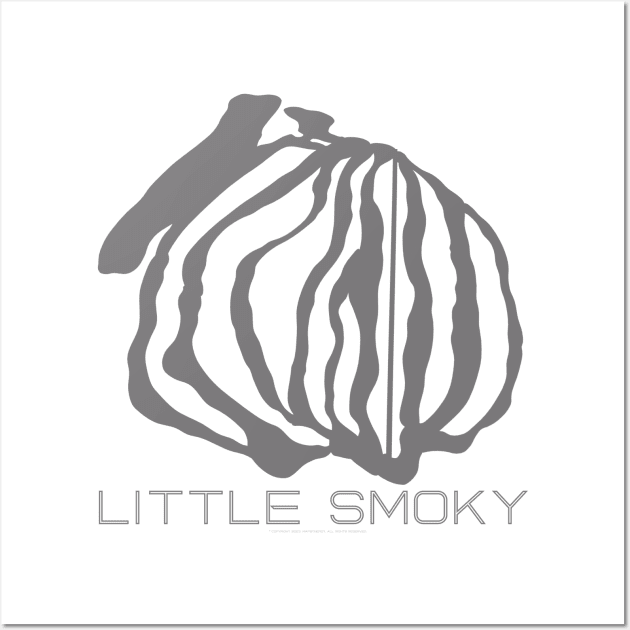 Little Smoky Resort 3D Wall Art by Mapsynergy